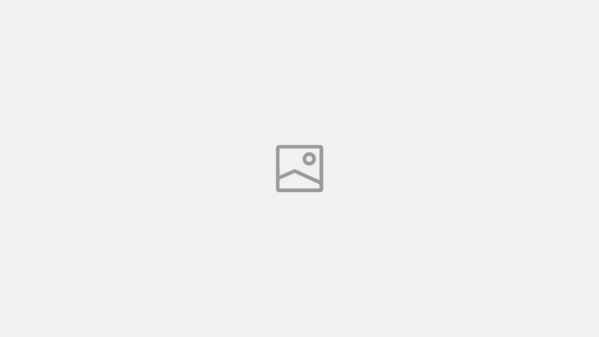 VerifyRight Blog
